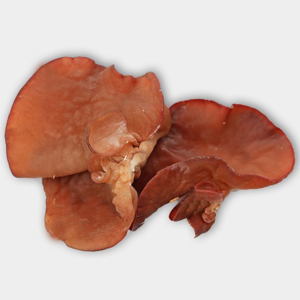 dirfis-apoksiramena-auricularia-250g