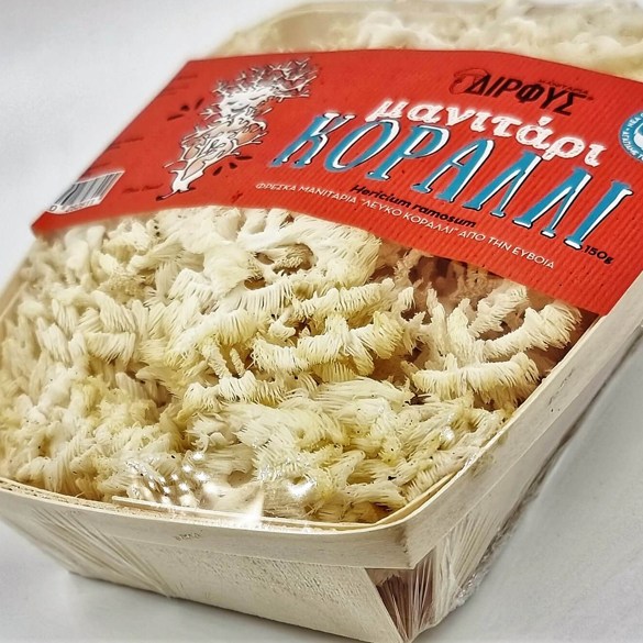 dirfis-freska-manitaria-koralli