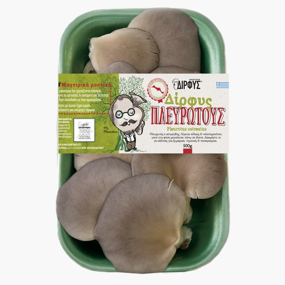 dirfis-freska-manitaria-pleurotus-500g